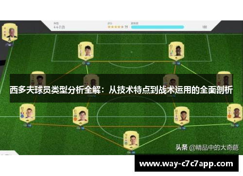西多夫球员类型分析全解:从技术特点到战术运用的全面剖析 西多夫球员类型分析全解:从技术特点到战术运用的全面剖析