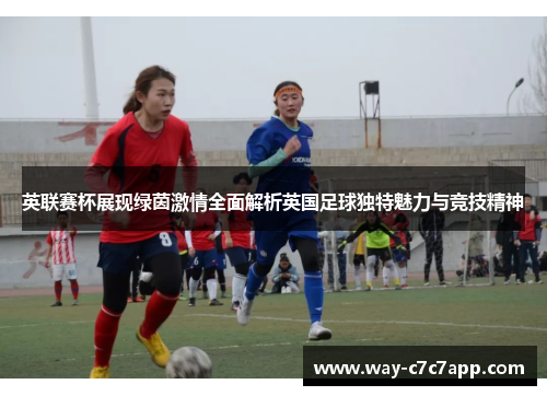 英联赛杯展现绿茵激情全面解析英国足球独特魅力与竞技精神 英联赛杯展现绿茵激情全面解析英国足球独特魅力与竞技精神