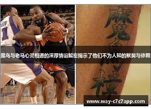 魔鸟与老马心灵相通的深厚情谊解密揭示了他们不为人知的默契与依赖 魔鸟与老马心灵相通的深厚情谊解密揭示了他们不为人知的默契与依赖